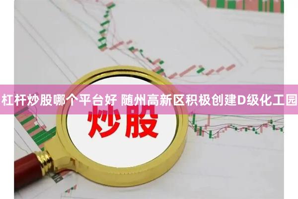 杠杆炒股哪个平台好 随州高新区积极创建D级化工园